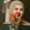 .ali8230