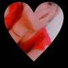 px_nicoll20