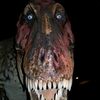 dragonlover43874
