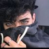 user91450560181324