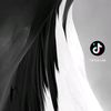 user8841925407214