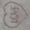 ob_ii_zoie