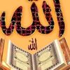user003464629
