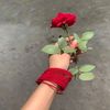 yourmehenoor3