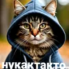 chancetiktokoffical