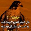 user4291320212426