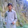shahid21549