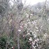nonor.tanche