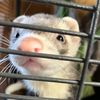 ellawillspam.com
