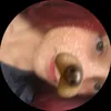 millylyly1