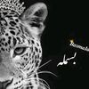 user32016163727094
