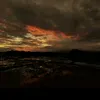 alidahustler0