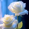 user874041317984