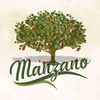 manzanomanzano01