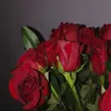 j.berl1no0o