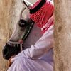 fahad2030f