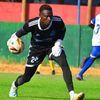 mendymendy24