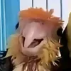 user_0000000121