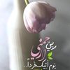 user551931381