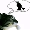 alejox_2011