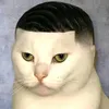 v.7dll