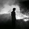 m_mf97