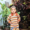 tanh25399