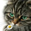 user1378011511754
