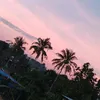 vet_thuong_ngay_cu