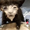 mamama12342