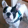 freyja.pller