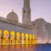 user8198231812290