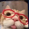 nana.tiktok513