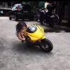 mayxaysinhto8386