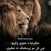 fareedullah.ihasa