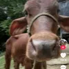 deotinvaotinhyeu_010
