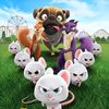 account875969