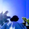 praveen_xx_2