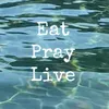 eat.pray.live