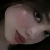 nsr_dhj313