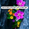 snin.ldaya3