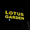 Lotus Garden
