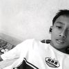 davz288
