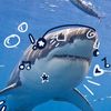 sharkyy040_