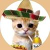 mustard_67_mango10