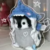 kkooi202