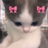 tataww_1801