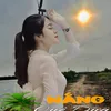 Nắng Quê Dừa