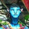 ahari.1