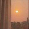 fatma.atef314